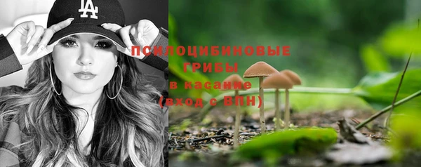 каннабис Богданович