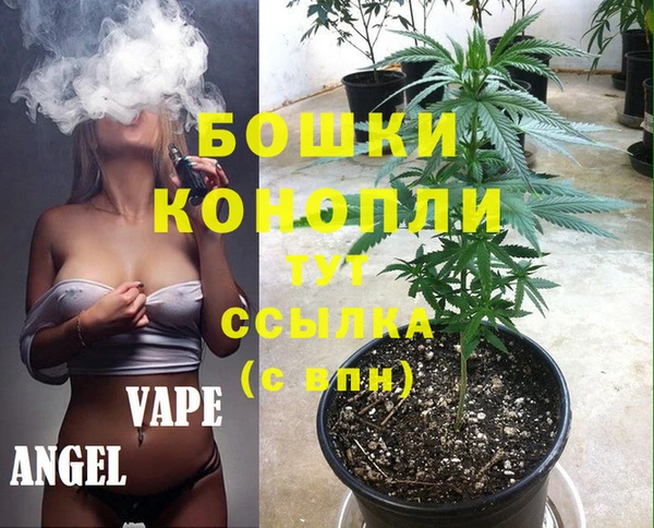 бошки Богородицк