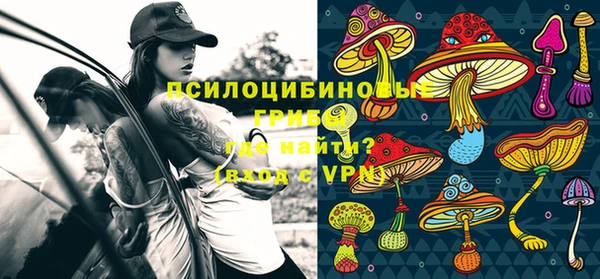 каннабис Богданович