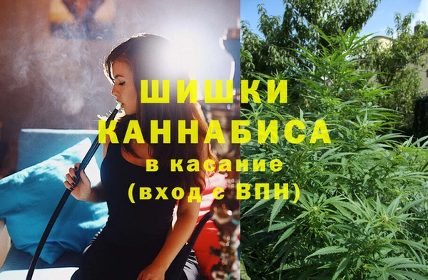 каннабис Богданович