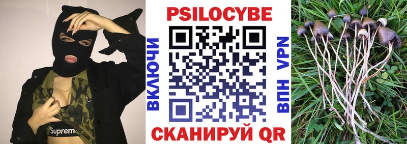 Псилоцибиновые грибы мицелий гидра ONION Буйнакск