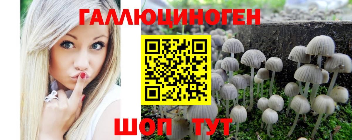 Буйнакск  Псилоцибиновые грибы MAGIC MUSHROOMS  Вход с VPN 